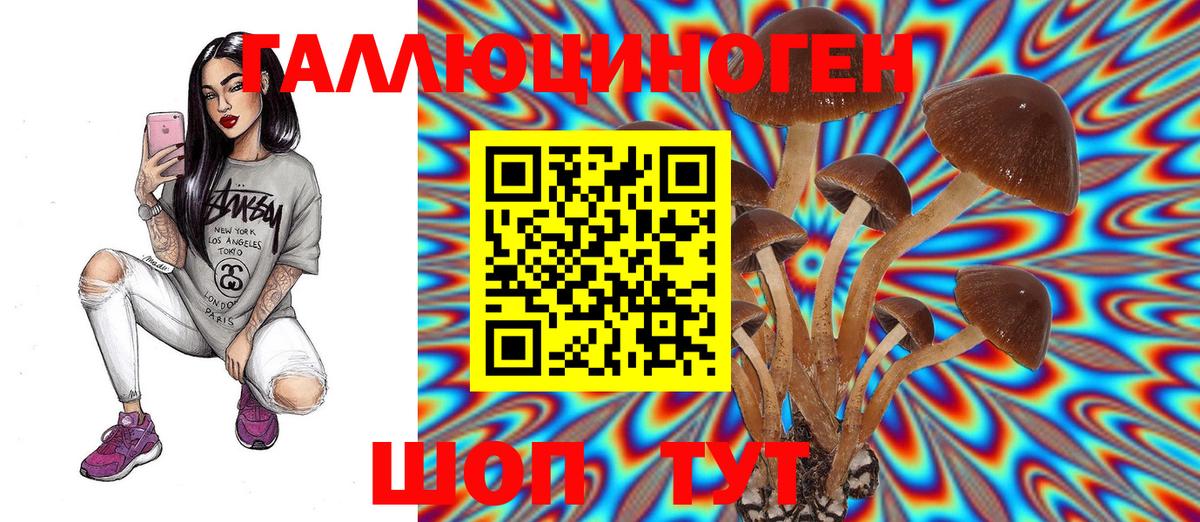 Кудрово  Галлюциногенные грибы Magic Shrooms  Вход с VPN 
